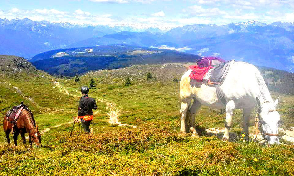 Horse riding holidays in Casteldarne / Chienes - Val Pusteria