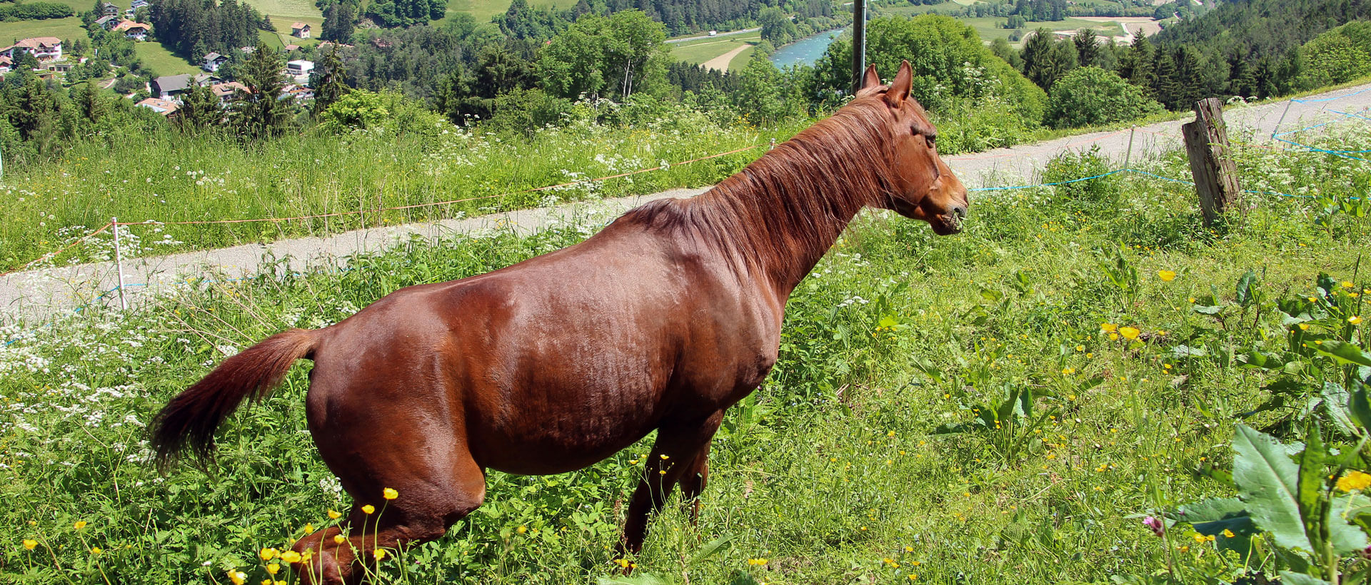 Reiturlaub Südtirol