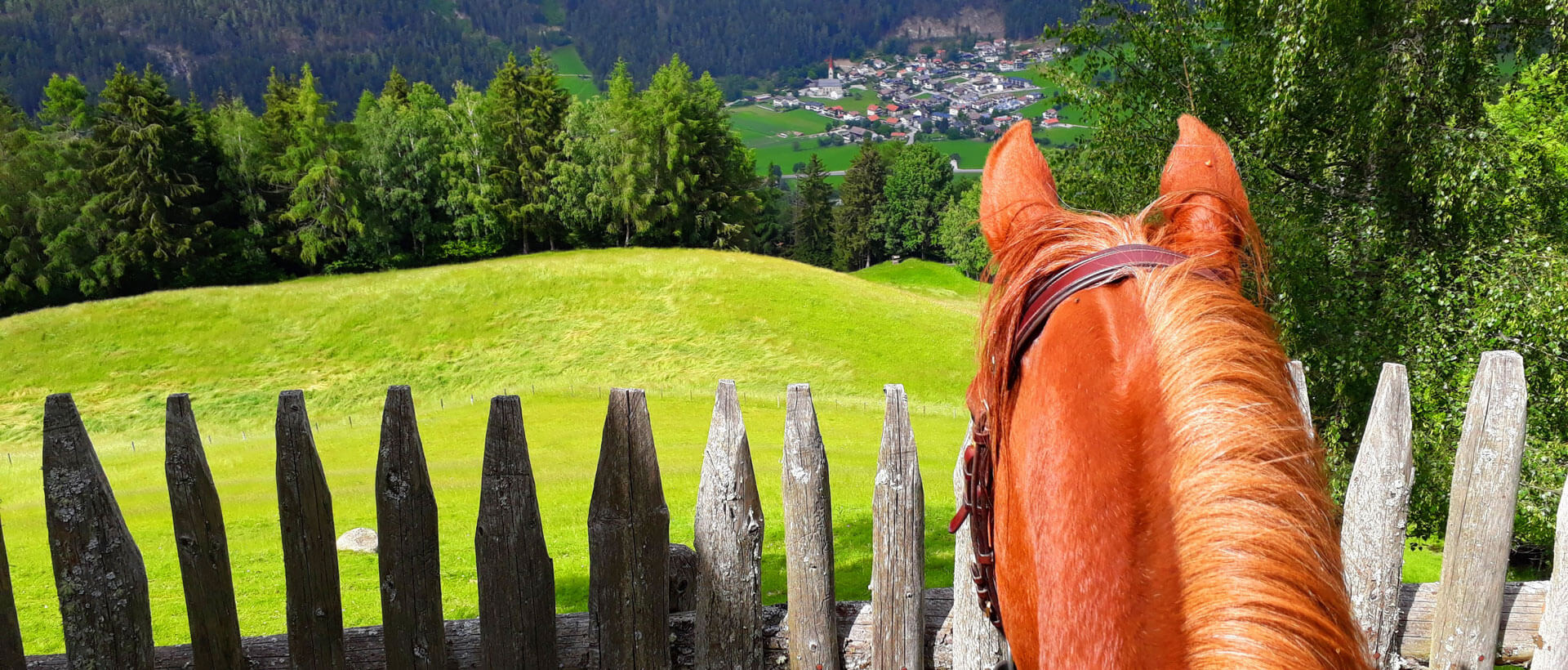 Reiturlaub Südtirol