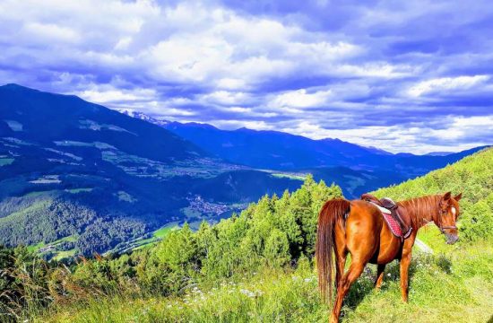 Unterplunerhof a Casteldarne/Chienes - Val Pusteria - Alto Adige