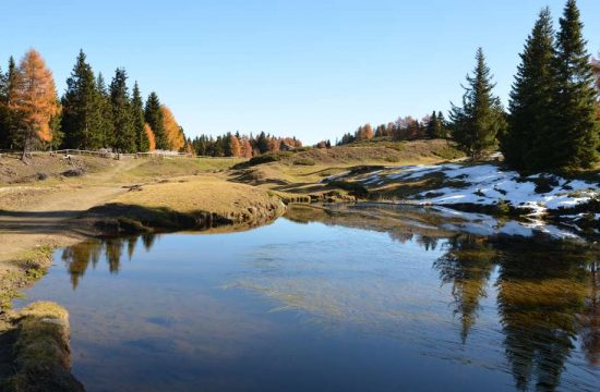 Unterplunerhof in Casteldarne/Chienes - Pusteria Valley - South Tyrol