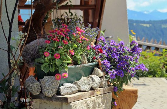 Unterplunerhof in Ehrenburg / Kiens - Pustertal - Südtirol