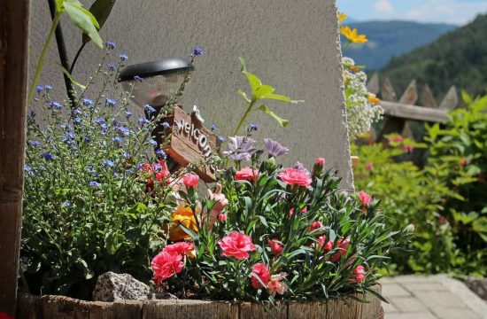 Unterplunerhof in Casteldarne/Chienes - Pusteria Valley - South Tyrol