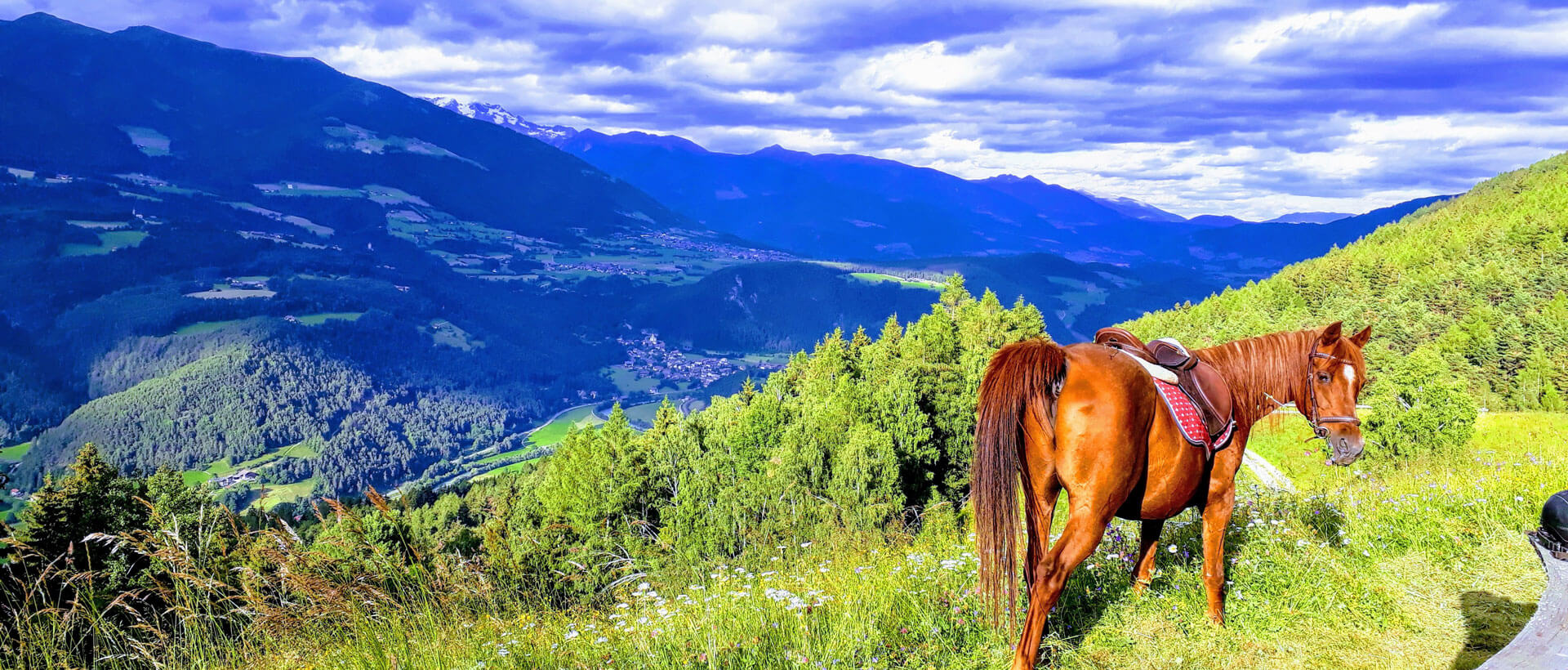 Urlaub auf dem Bauernhof - Pustertal / Südtirol