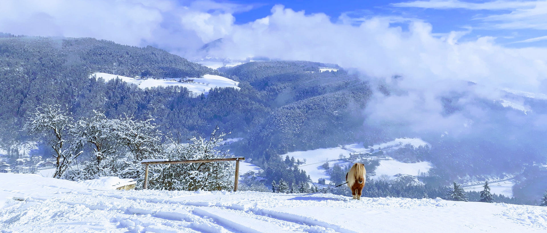 Winterurlaub Pustertal - Südtirol